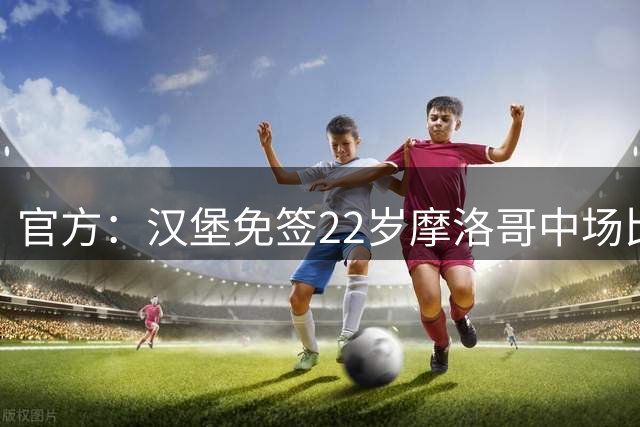 官方：汉堡免签22岁摩洛哥中场比拉勒-纳迪尔